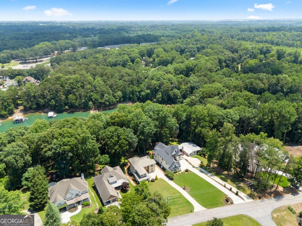 6277 Lakeview Drive Buford - Photo 57