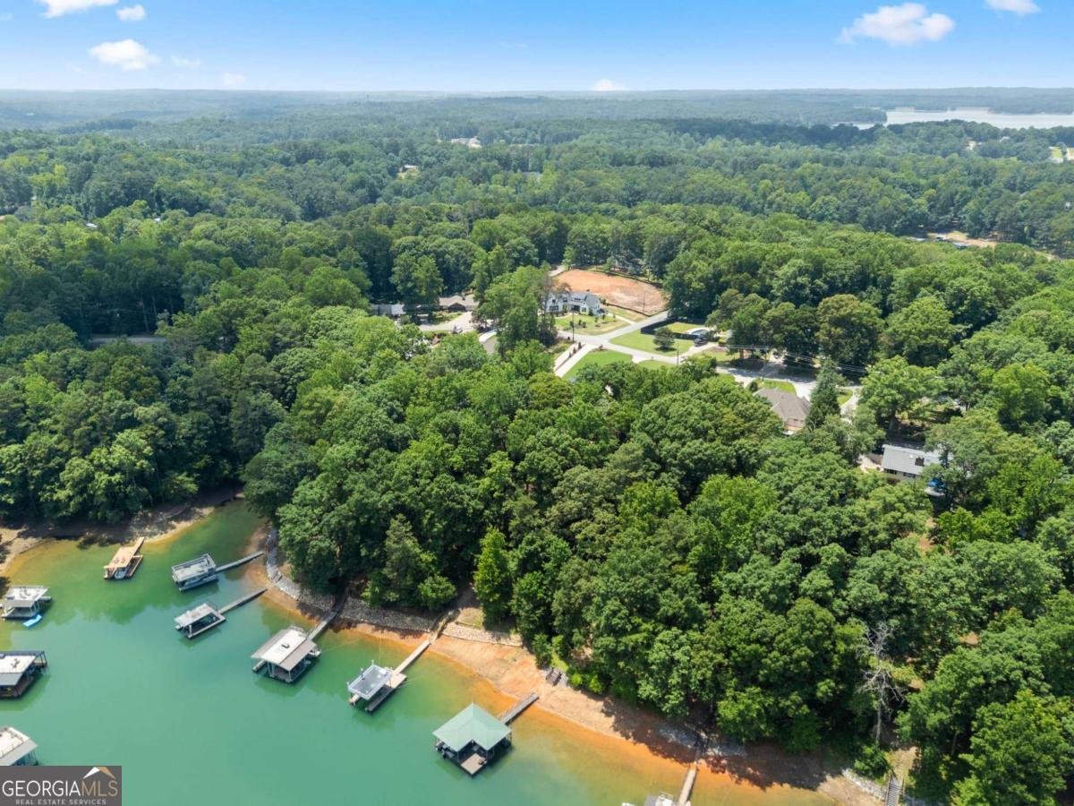 6277 Lakeview Drive Buford - Photo 58