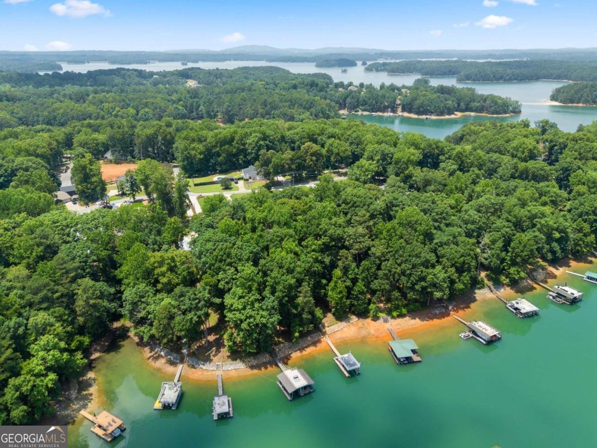6277 Lakeview Drive Buford - Photo 59