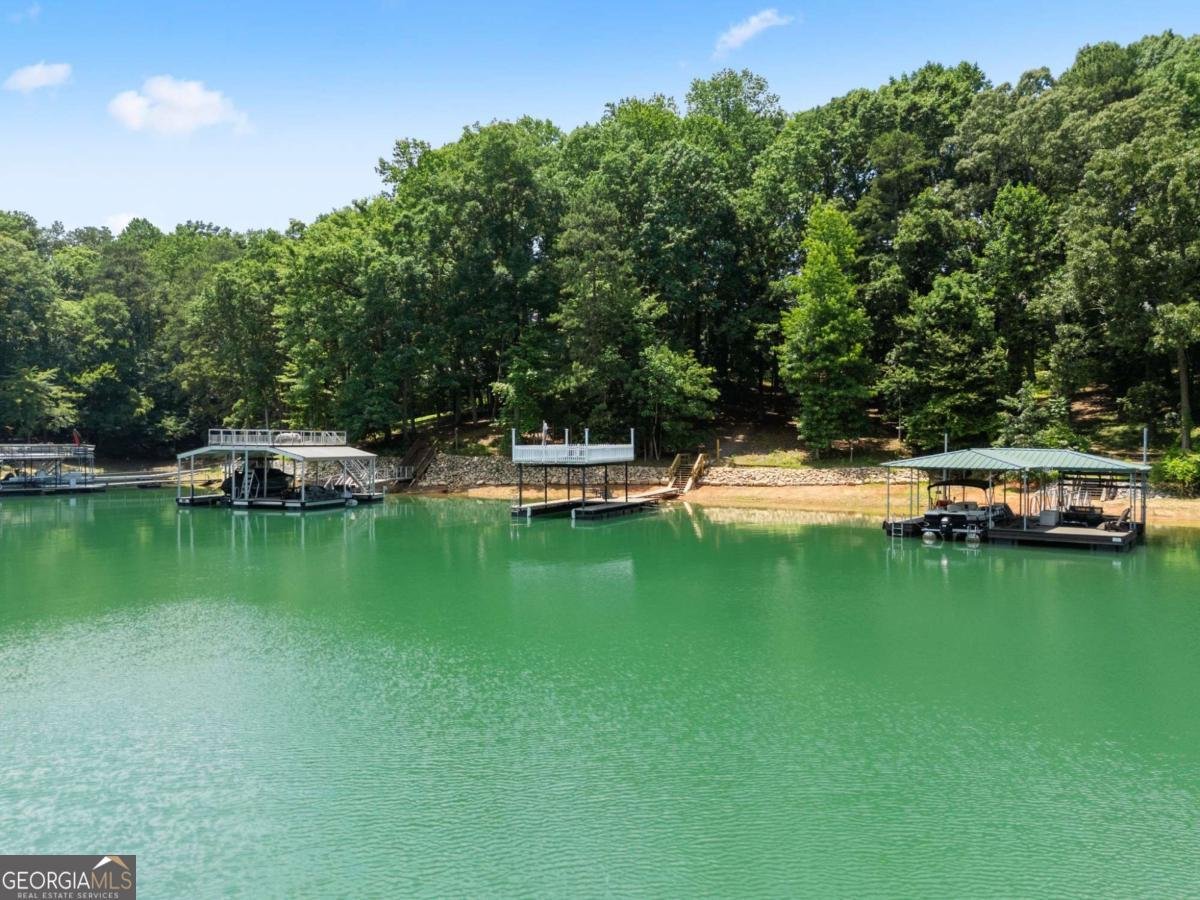 6277 Lakeview Drive Buford - Photo 61