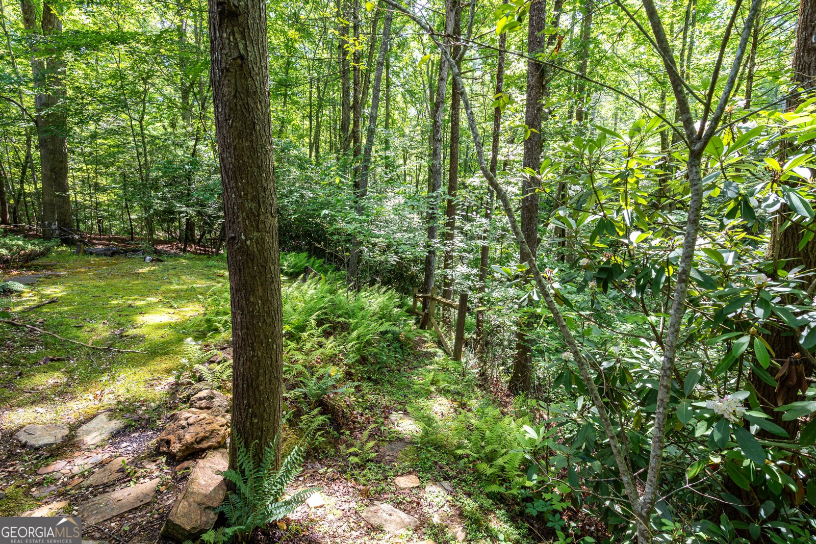 211 Red Oak Forest Lane Murphy - Photo 30