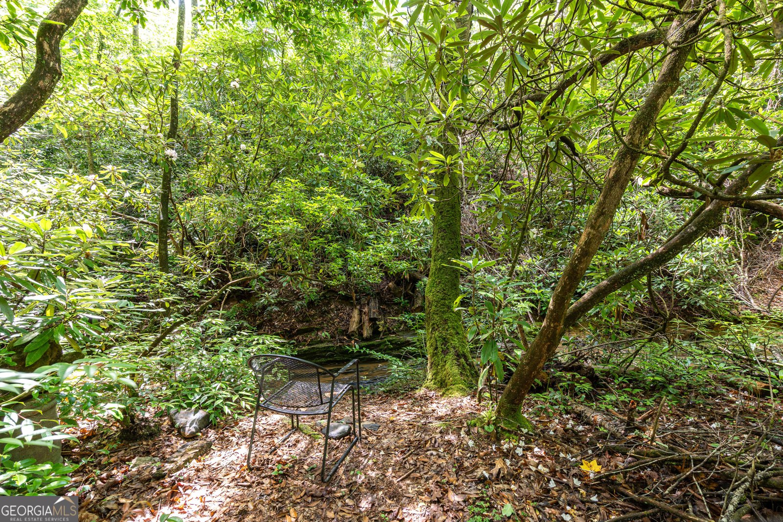 211 Red Oak Forest Lane Murphy - Photo 33