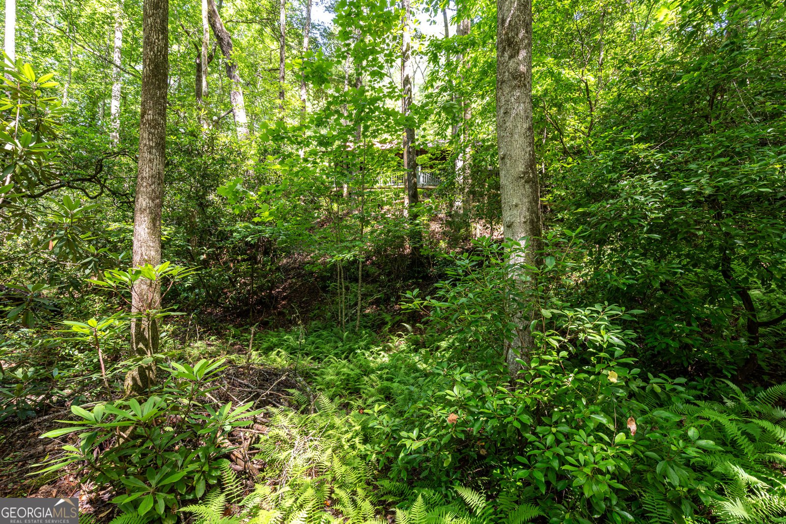 211 Red Oak Forest Lane Murphy - Photo 36