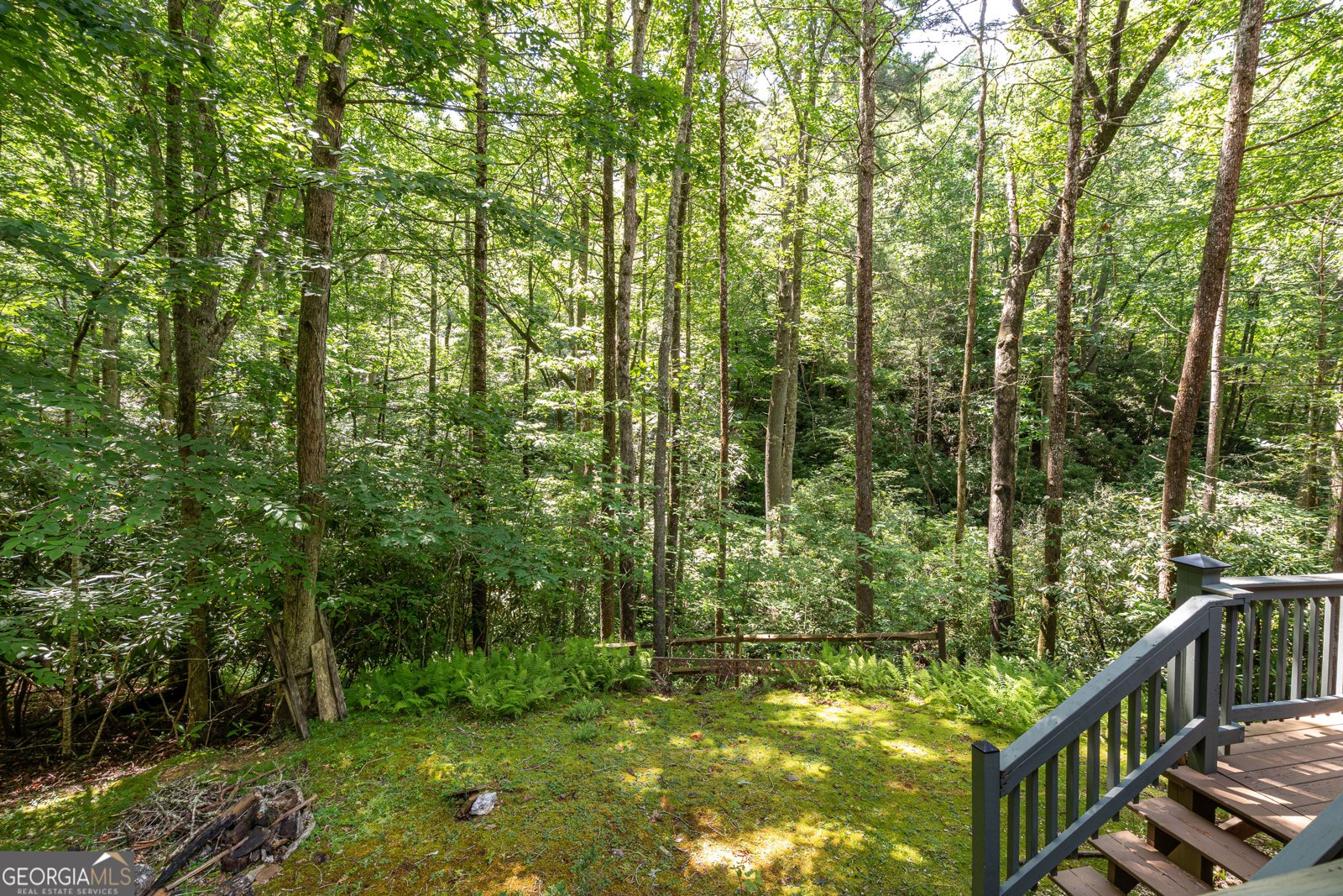 211 Red Oak Forest Lane Murphy - Photo 37