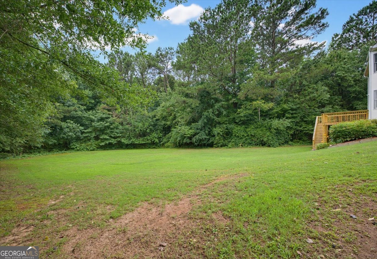 1206 Dover Place Conyers - Photo 37