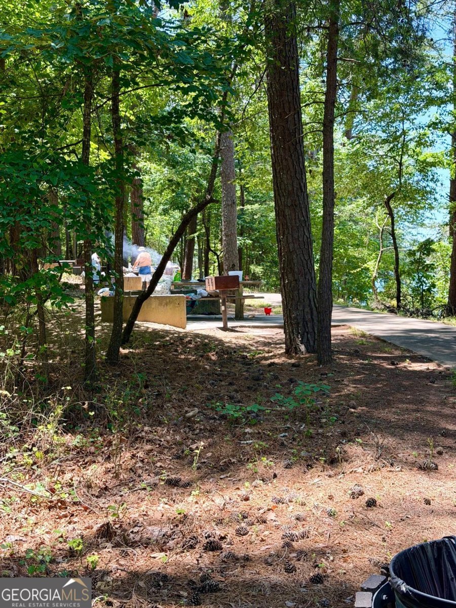 6504 Yacht Club Road Flowery Branch - Photo 83