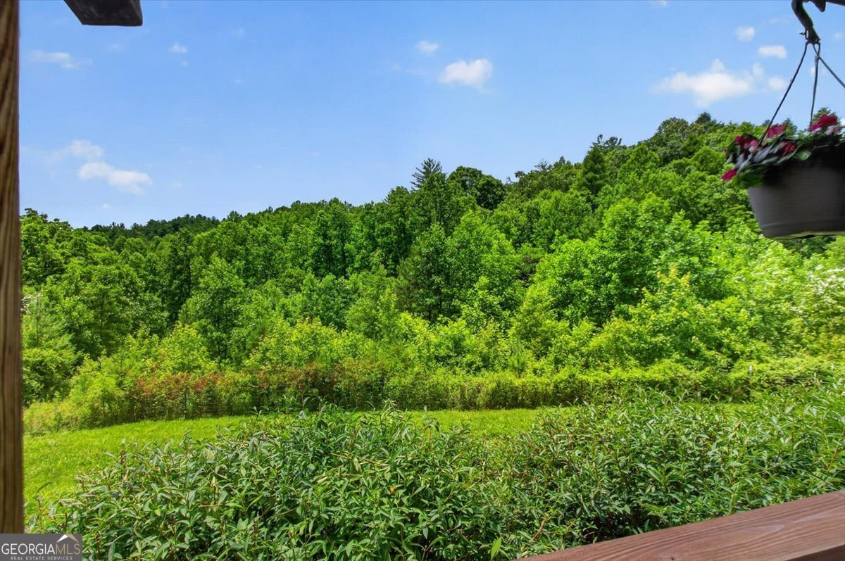 743 Sam Hill Road Ellijay - Photo 36