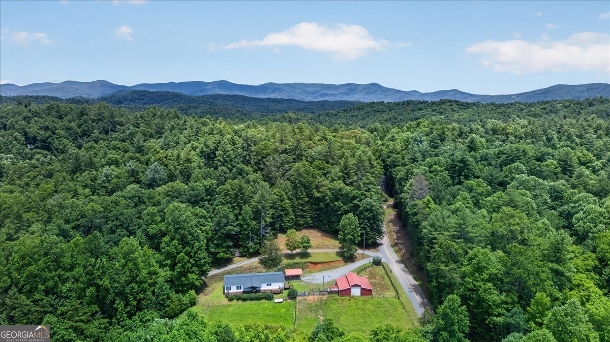 743 Sam Hill Road Ellijay - Photo 45