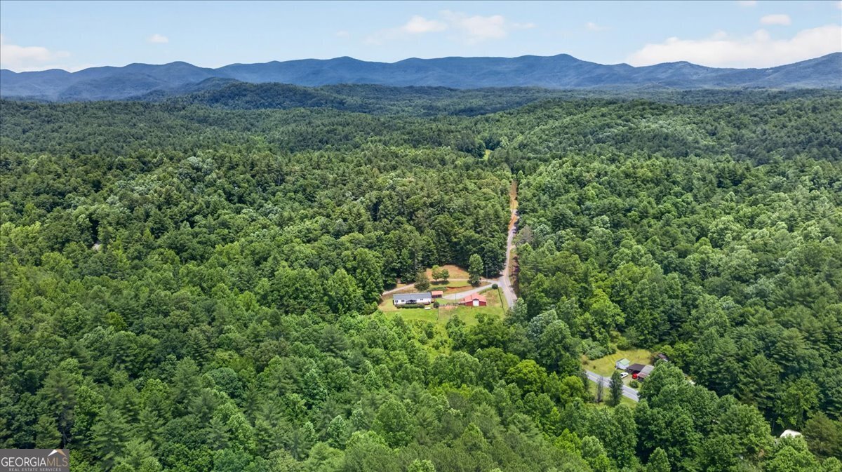 743 Sam Hill Road Ellijay - Photo 46