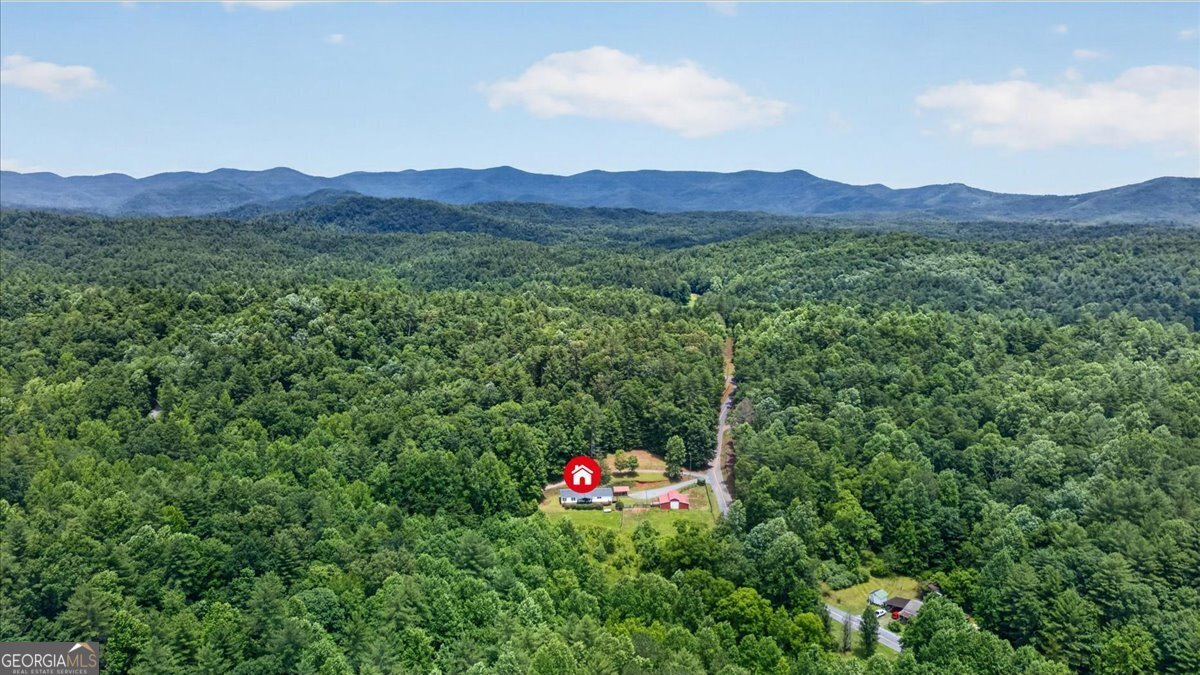 743 Sam Hill Road Ellijay - Photo 47