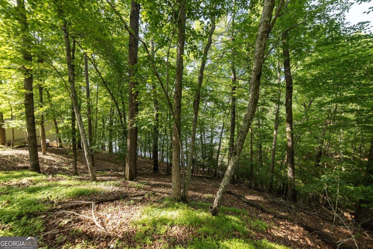 7822 Beachwood Drive Murrayville - Photo 12