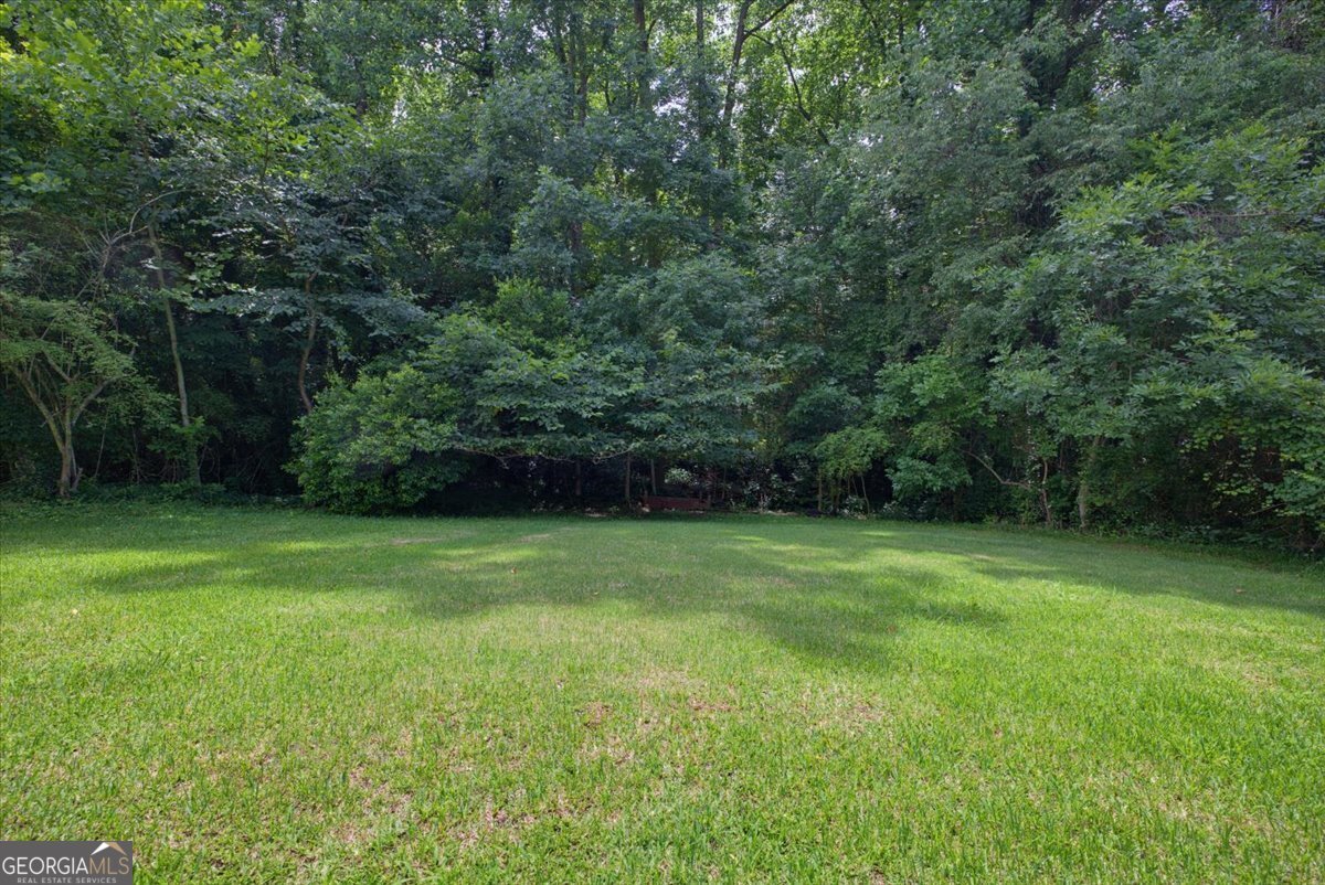 2969 Stratford Mill Road Lithonia - Photo 37