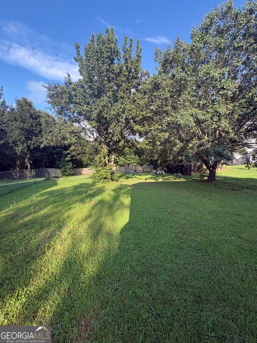 4312 Ward Bluff Drive Ellenwood - Photo 37