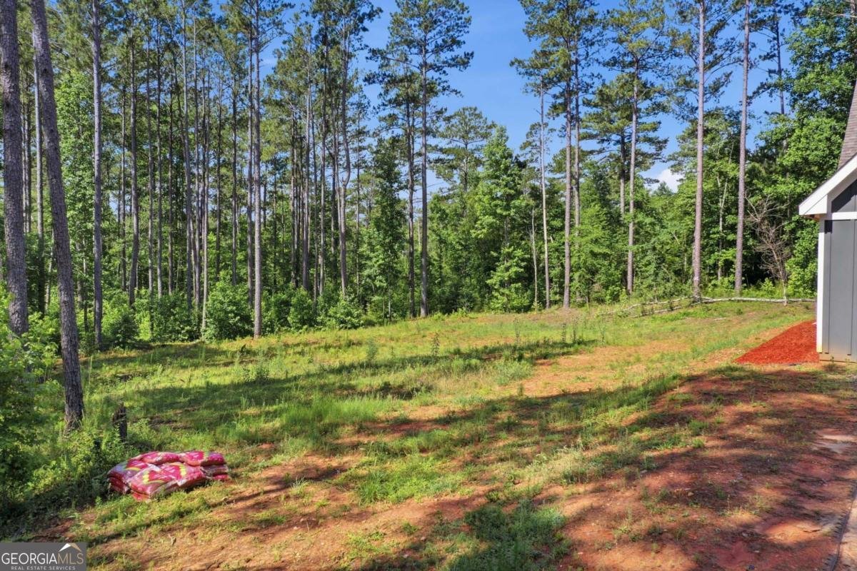 191 Crooked Creek Bay Road Eatonton - Photo 30
