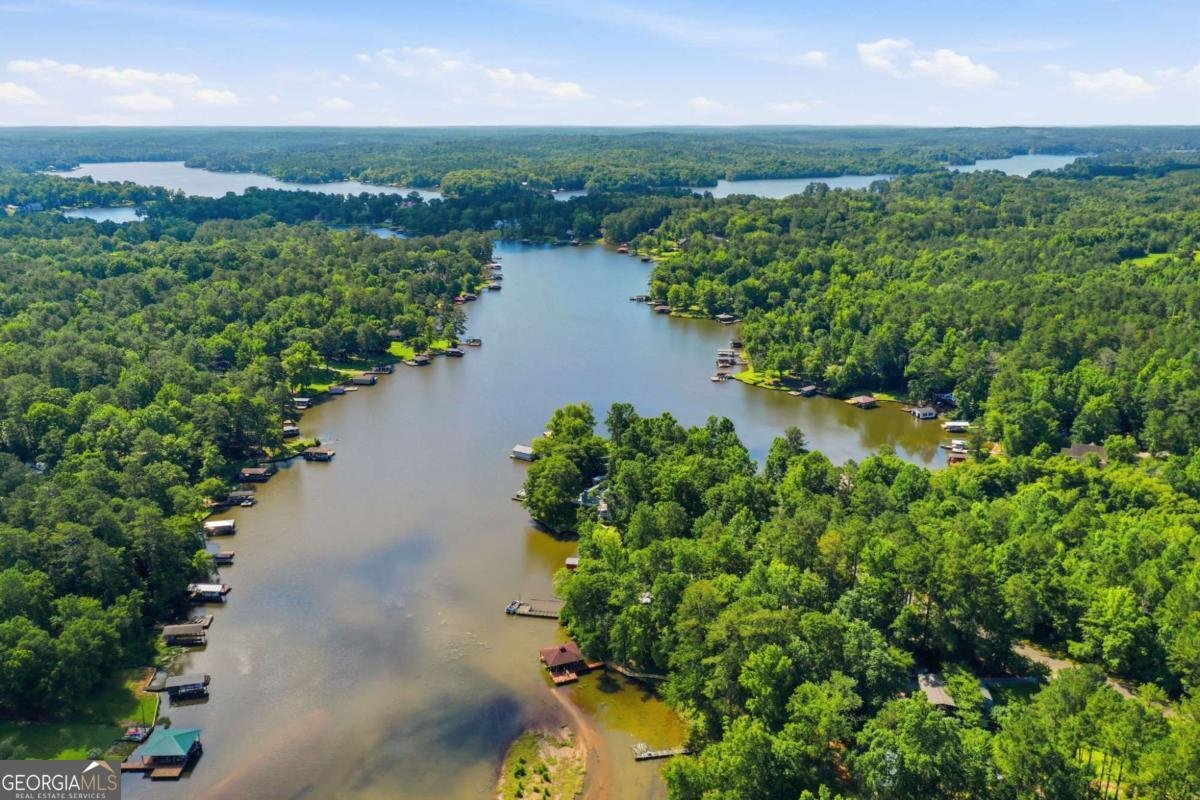 191 Crooked Creek Bay Road Eatonton - Photo 35