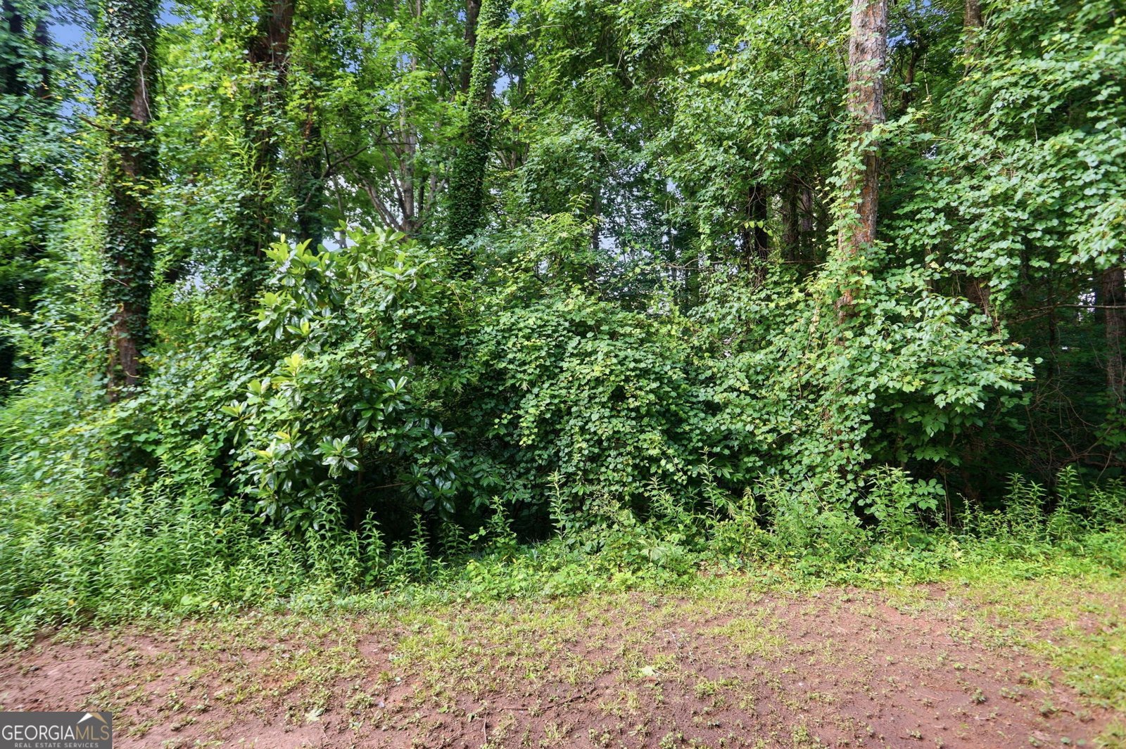 5389 Martins Crossing Road Stone Mountain - Photo 32