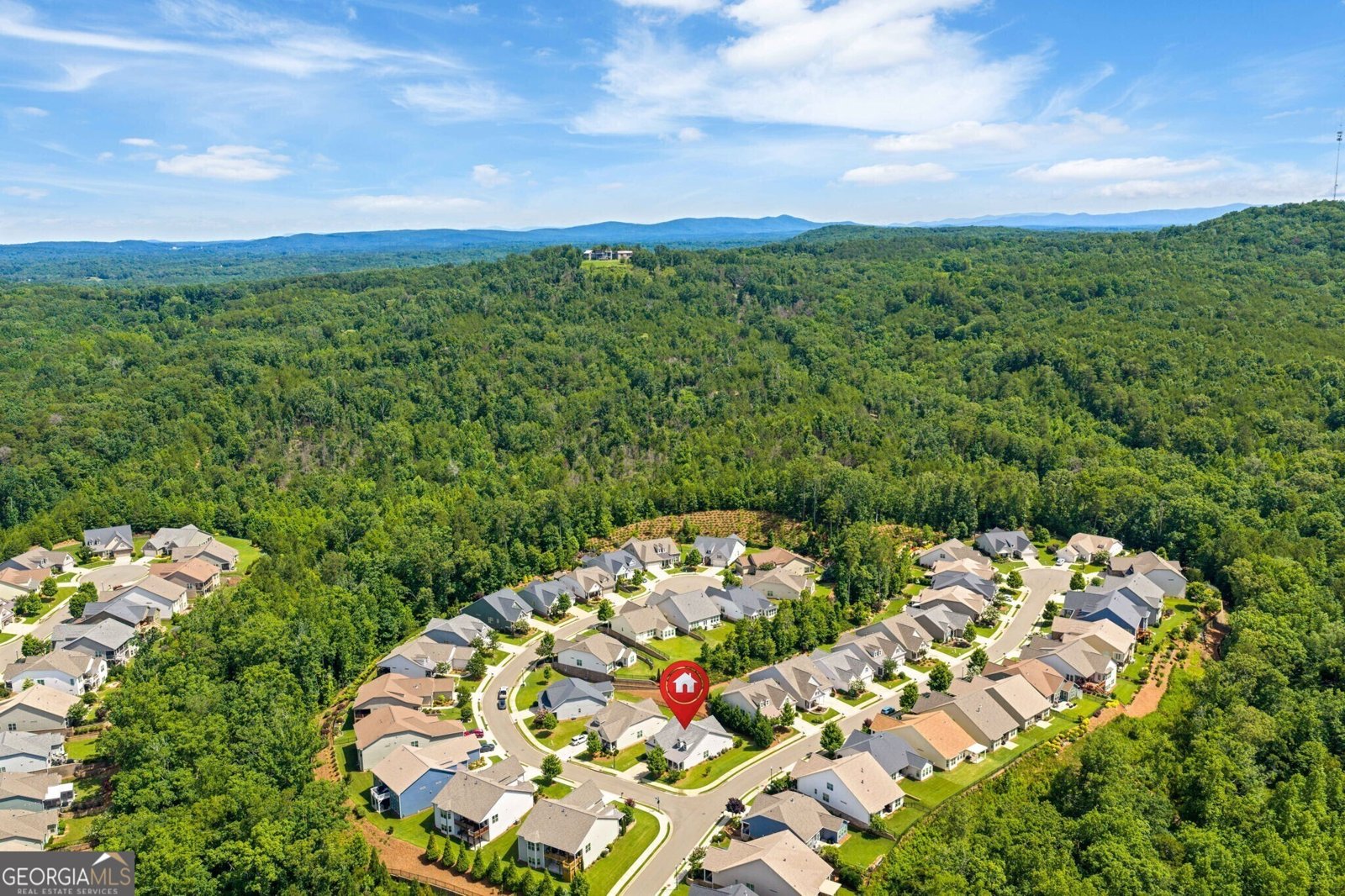 400 Laurel Spring Court Canton - Photo 51