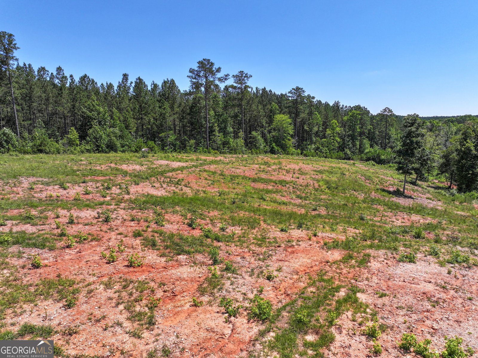 259 Garner Road Buchanan - Photo 100