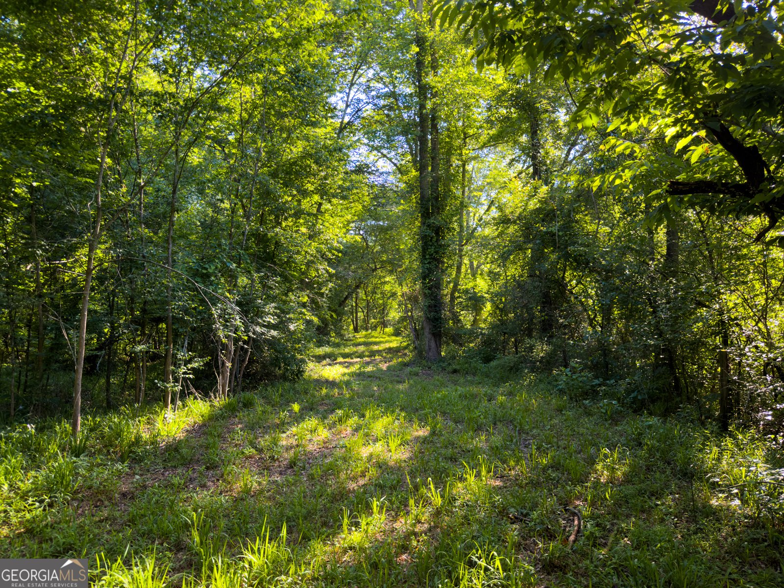 259 Garner Road Buchanan - Photo 97