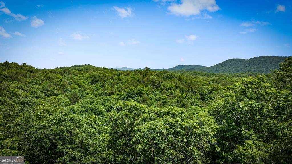 62 Tiffany Lane Mineral Bluff - Photo 32