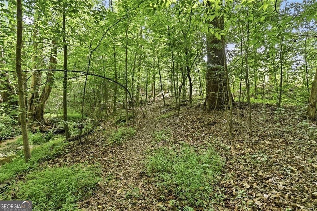 203 Creekstone Court Canton - Photo 84