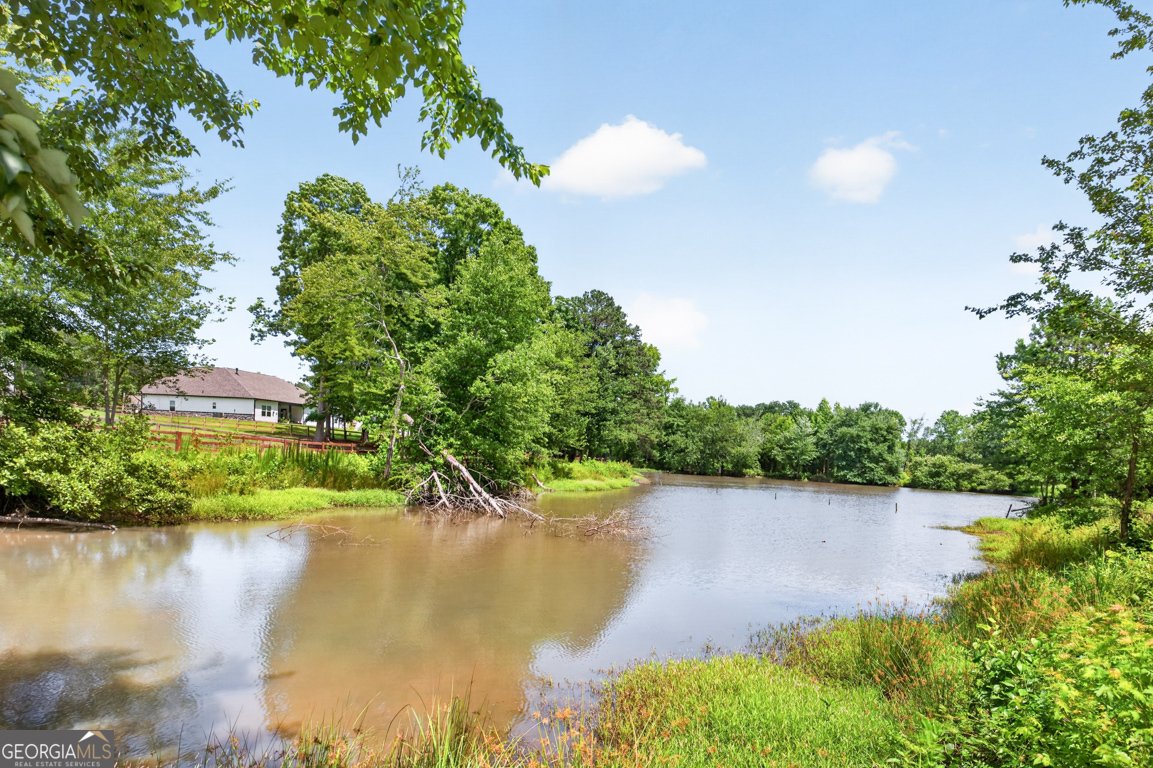 2759 Porches Lane Dacula - Photo 48