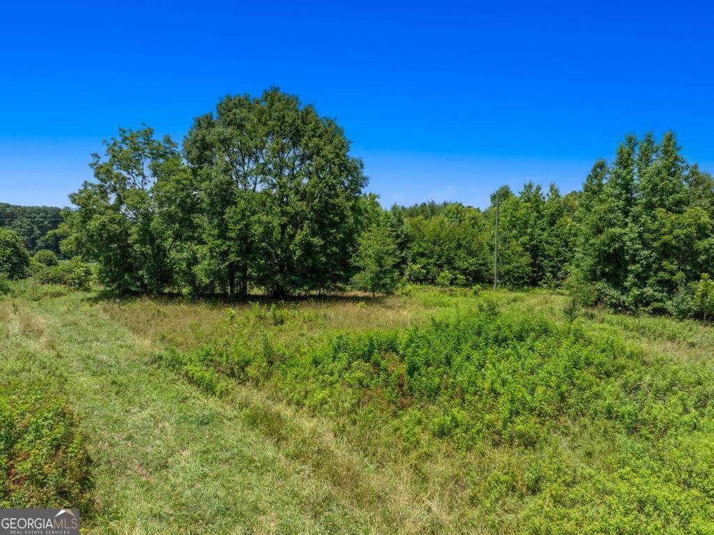 586 Grady School Road Canon - Photo 45