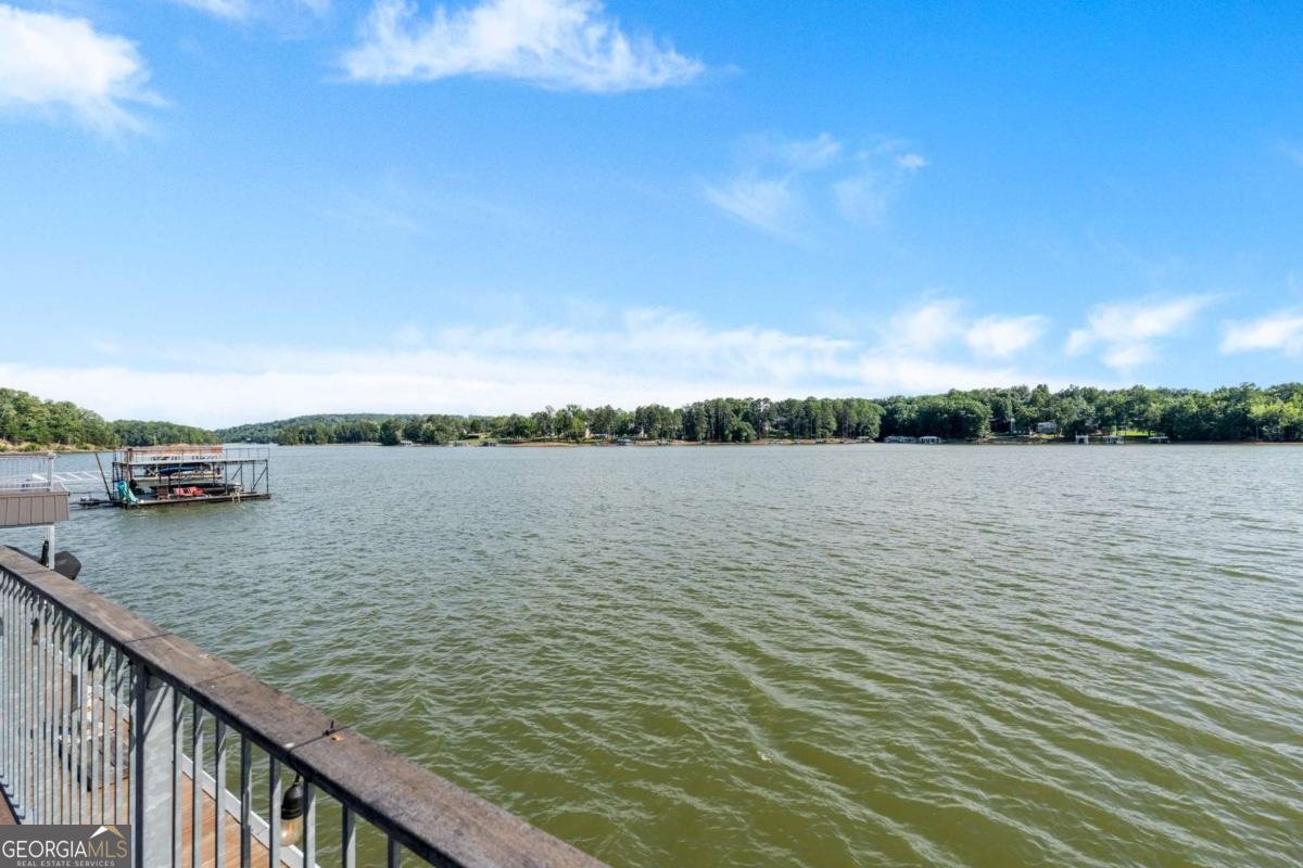 60 View Point Drive Dawsonville - Photo 89