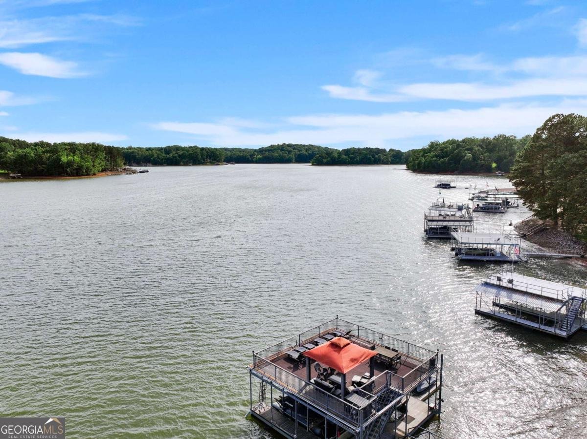 60 View Point Drive Dawsonville - Photo 91