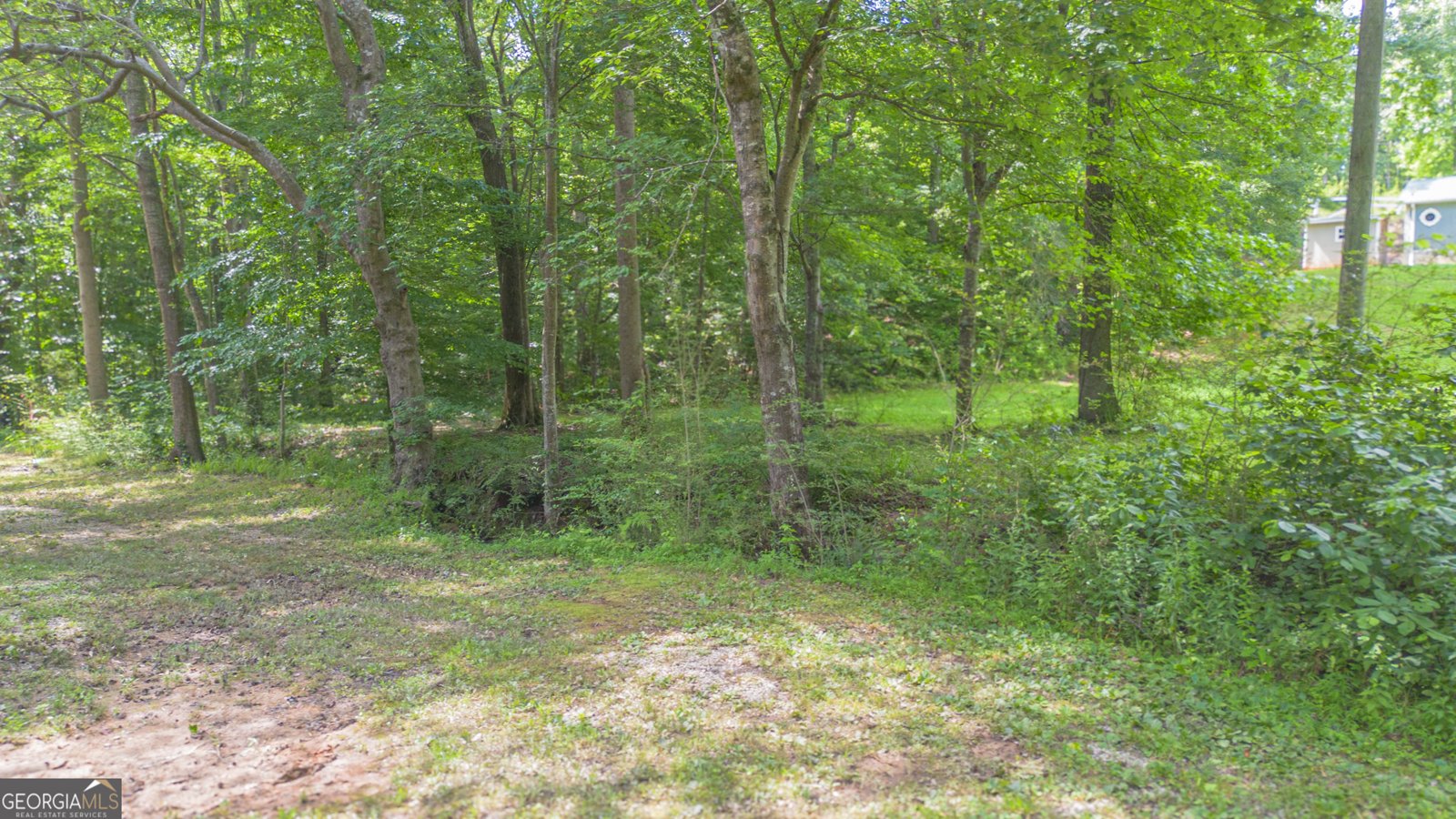 717 County Road 137 Delta - Photo 10