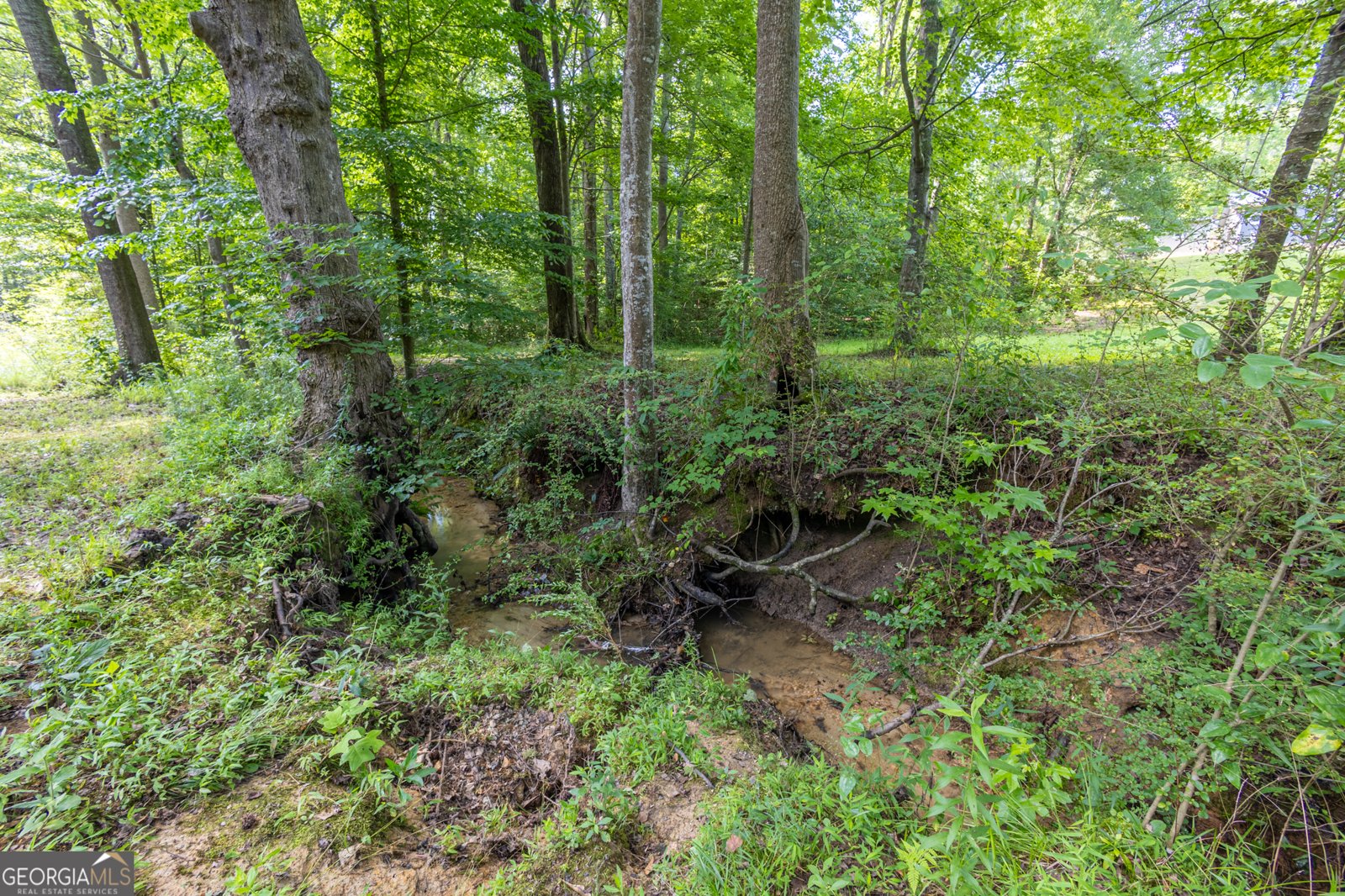 717 County Road 137 Delta - Photo 14