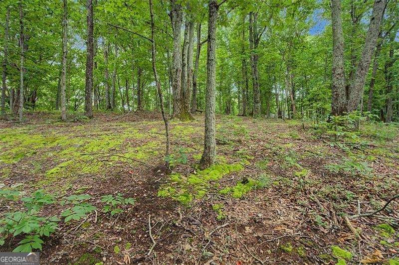 1230 Red Bud Drive Marietta - Photo 40