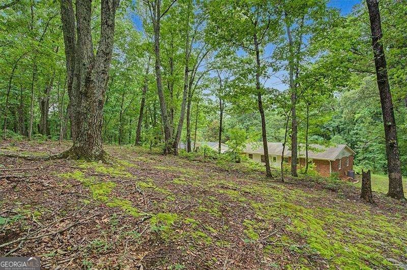 1230 Red Bud Drive Marietta - Photo 41