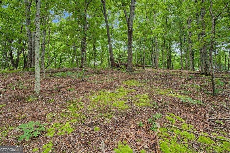 1230 Red Bud Drive Marietta - Photo 42