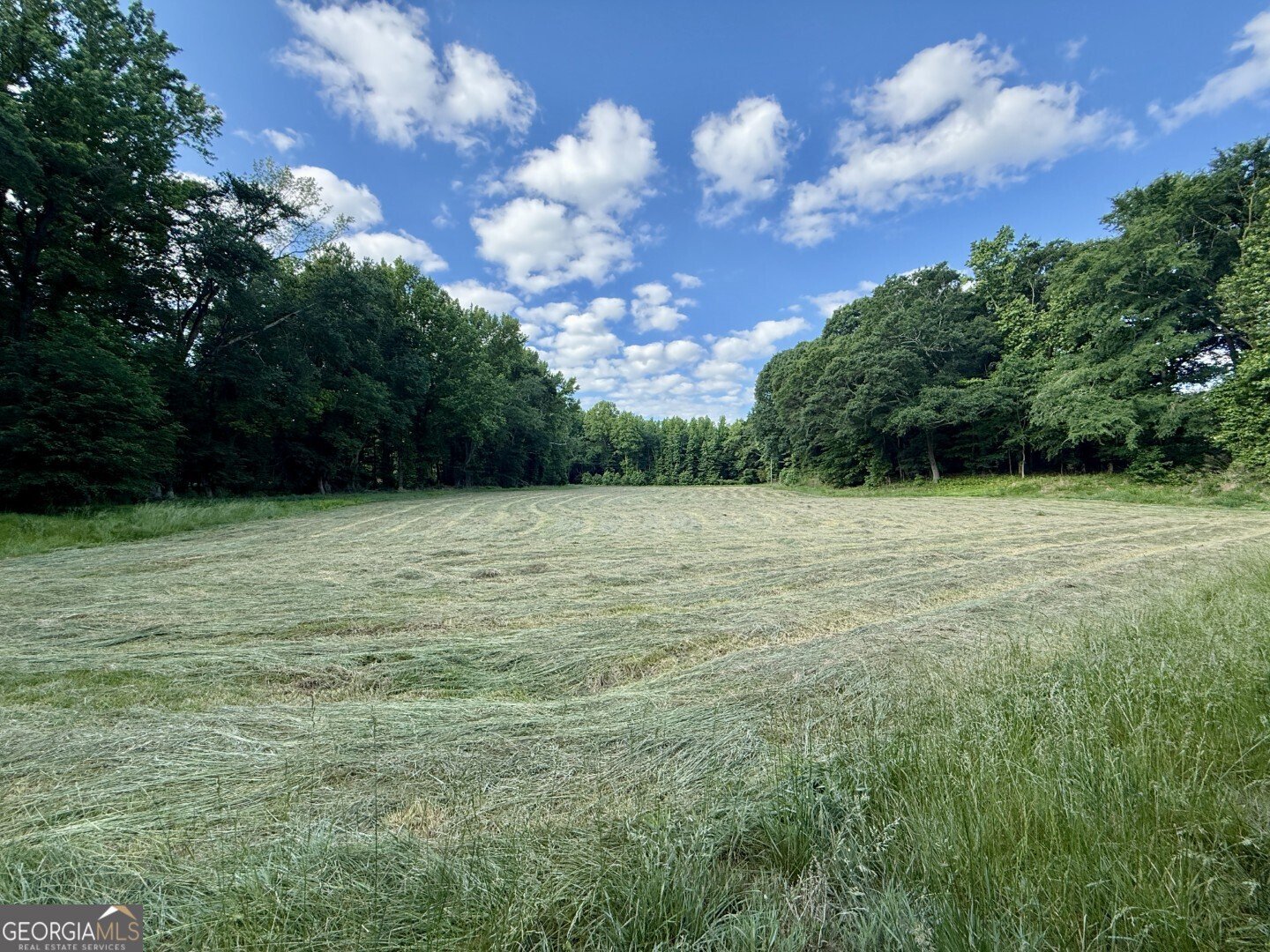 1298 Ray Weaver Road Canon - Photo 30