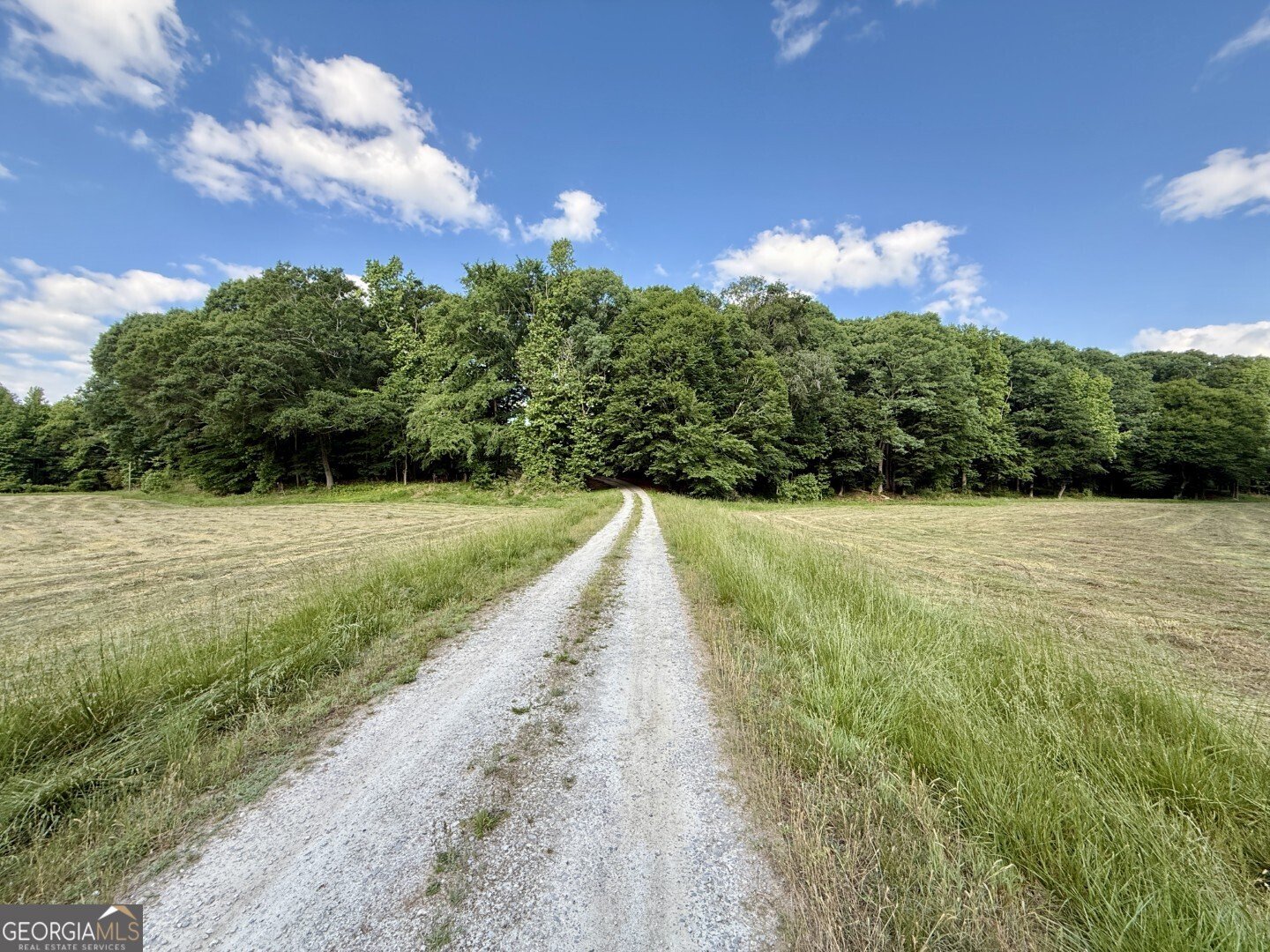 1298 Ray Weaver Road Canon - Photo 31