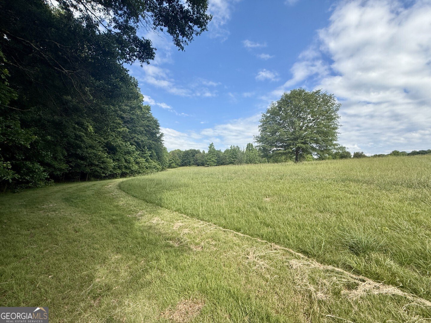 1298 Ray Weaver Road Canon - Photo 32