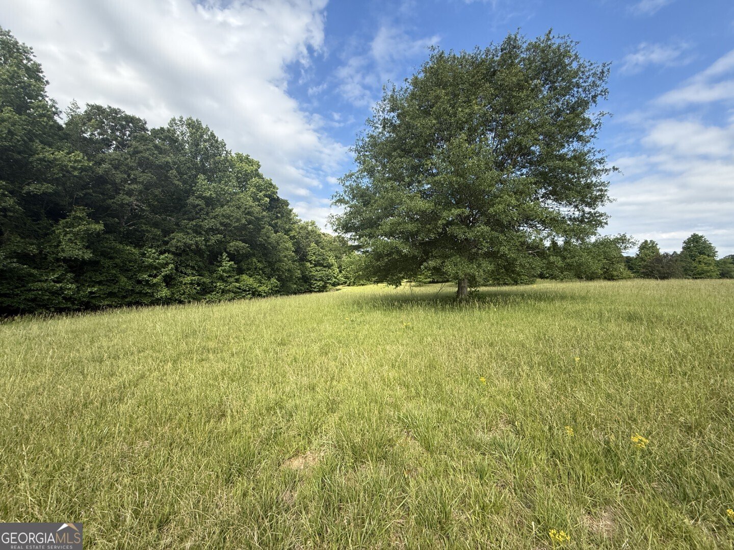 1298 Ray Weaver Road Canon - Photo 33