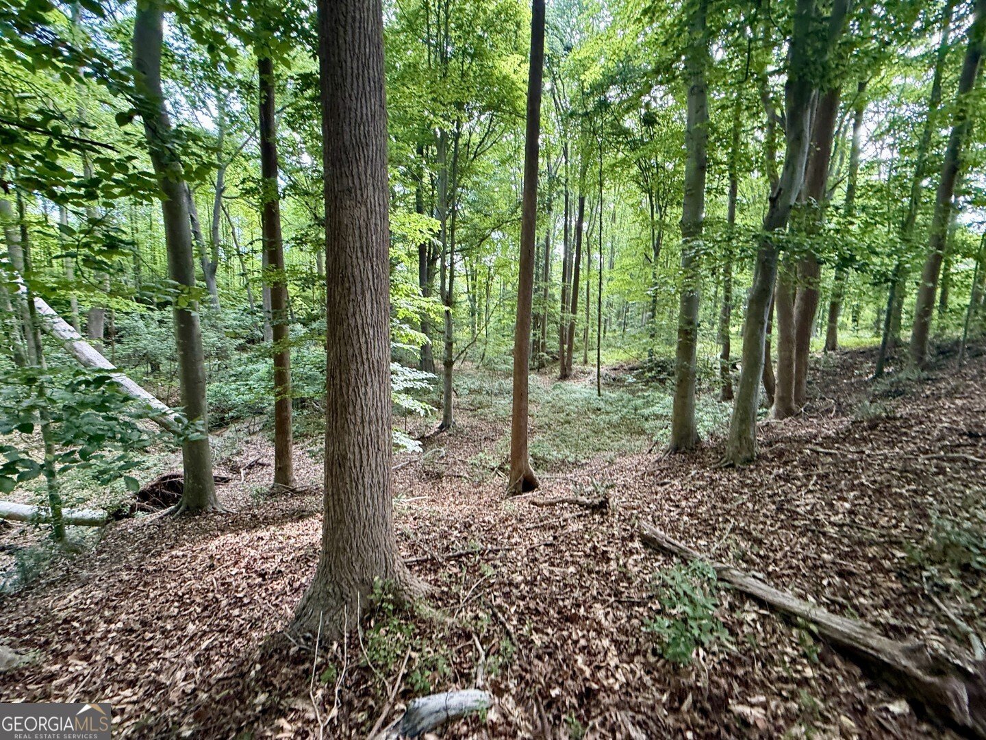 1298 Ray Weaver Road Canon - Photo 34