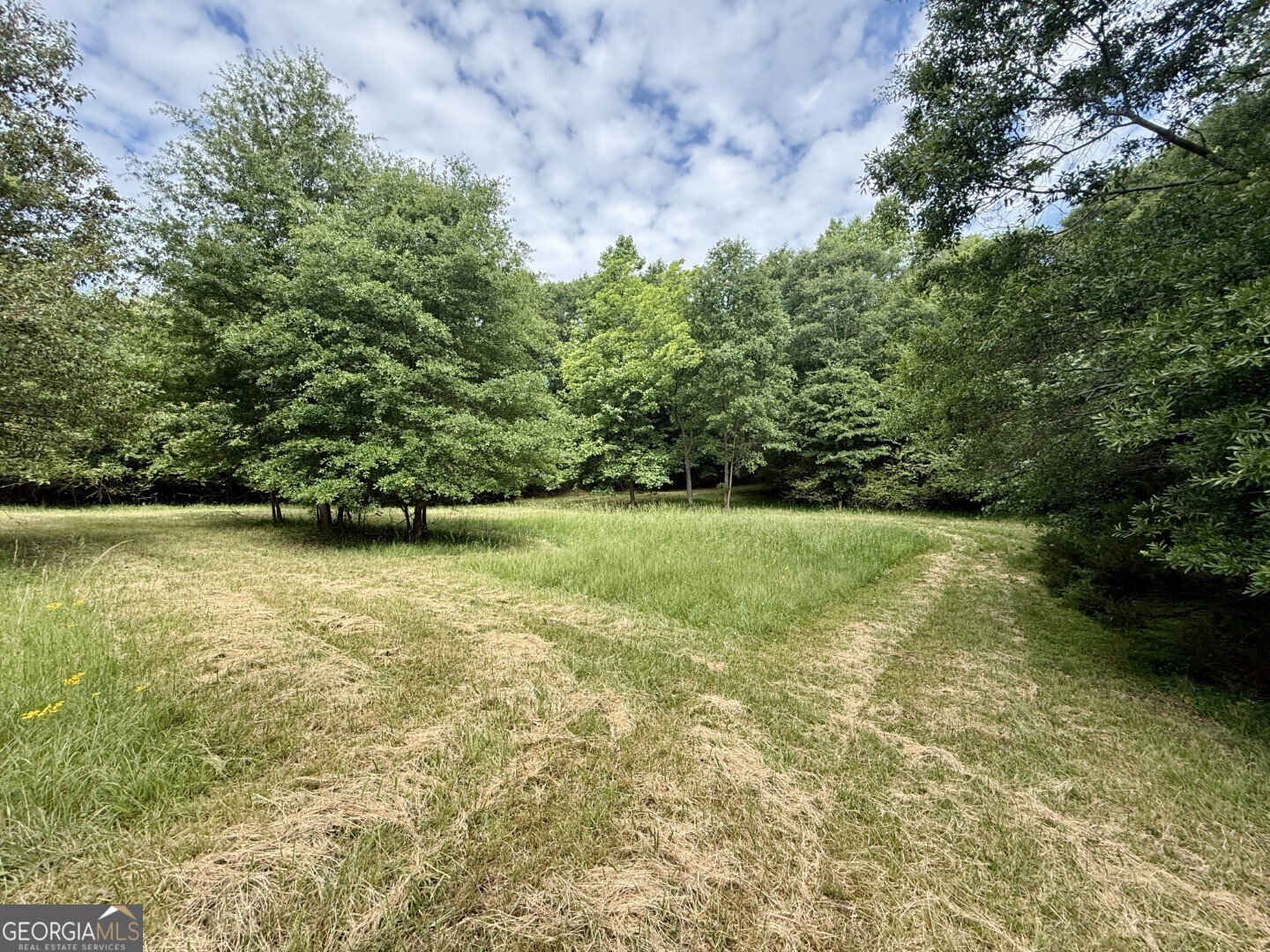 1298 Ray Weaver Road Canon - Photo 35