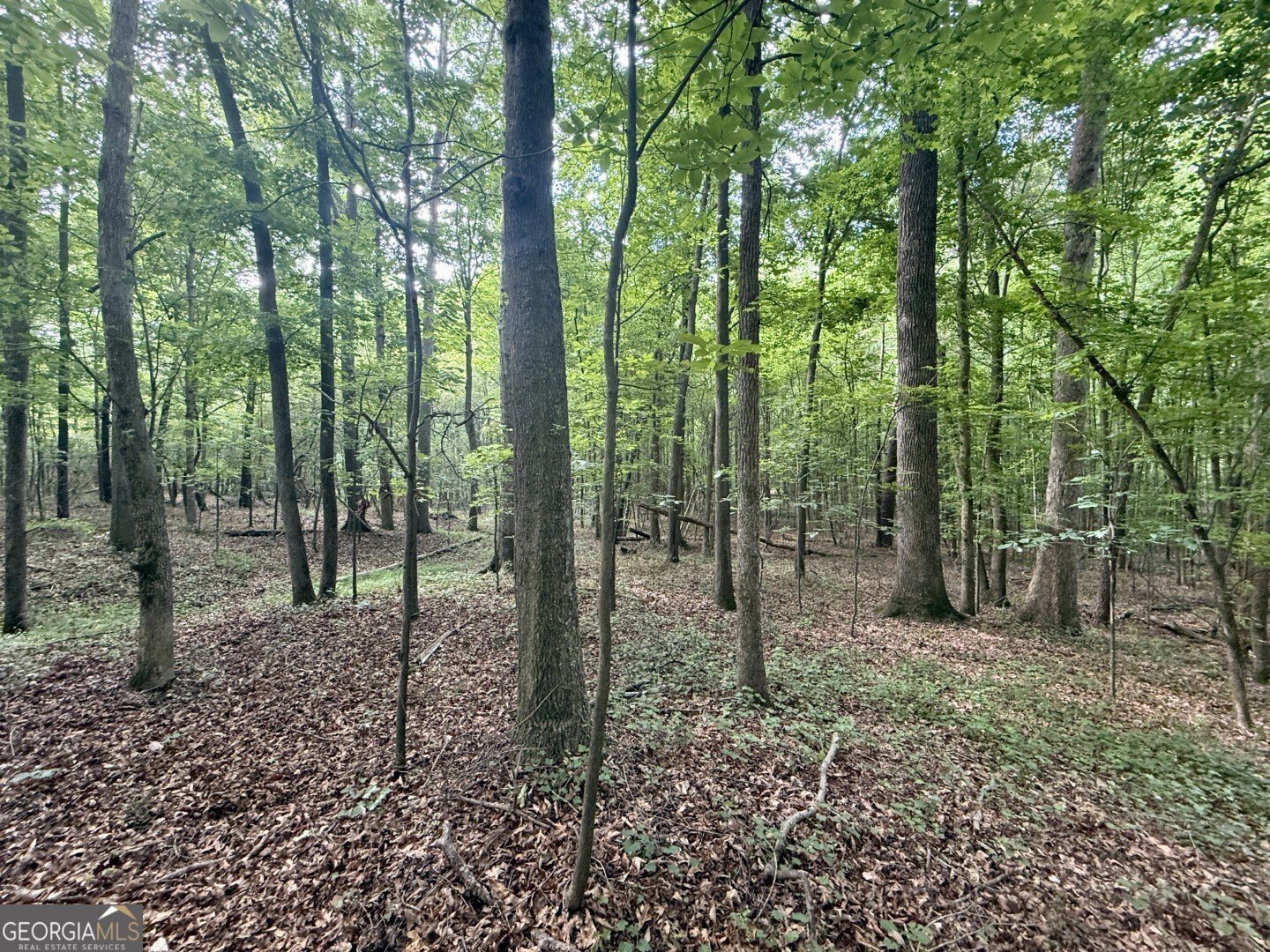 1298 Ray Weaver Road Canon - Photo 36