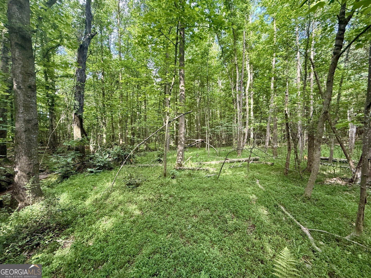 1298 Ray Weaver Road Canon - Photo 37
