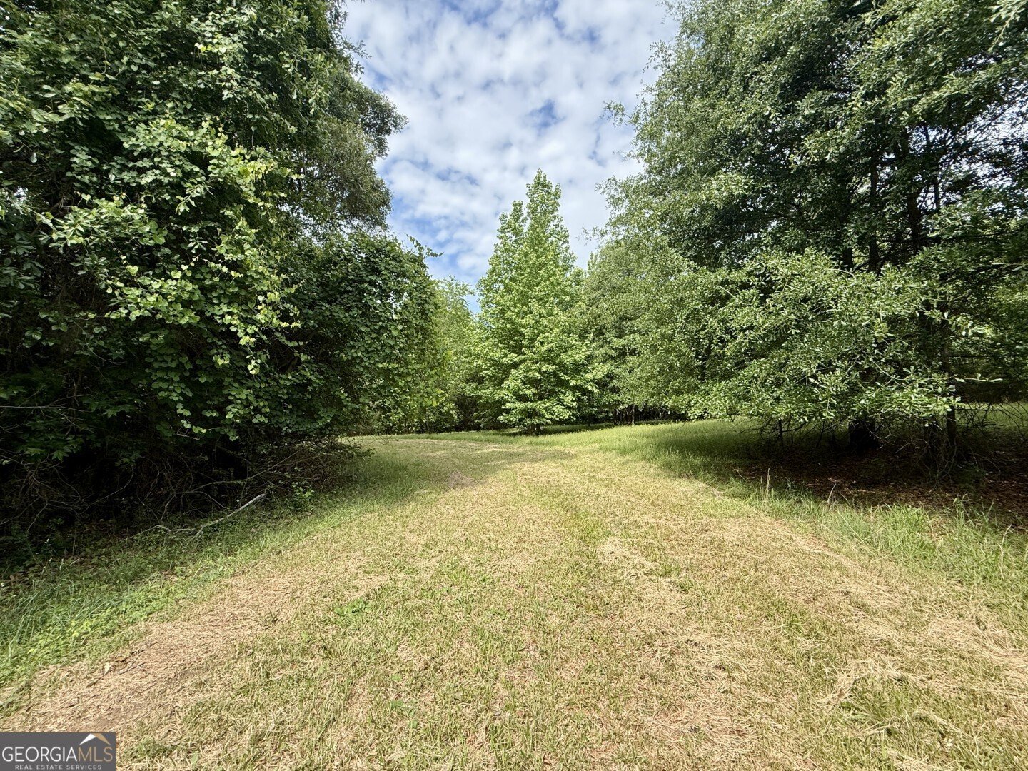 1298 Ray Weaver Road Canon - Photo 38