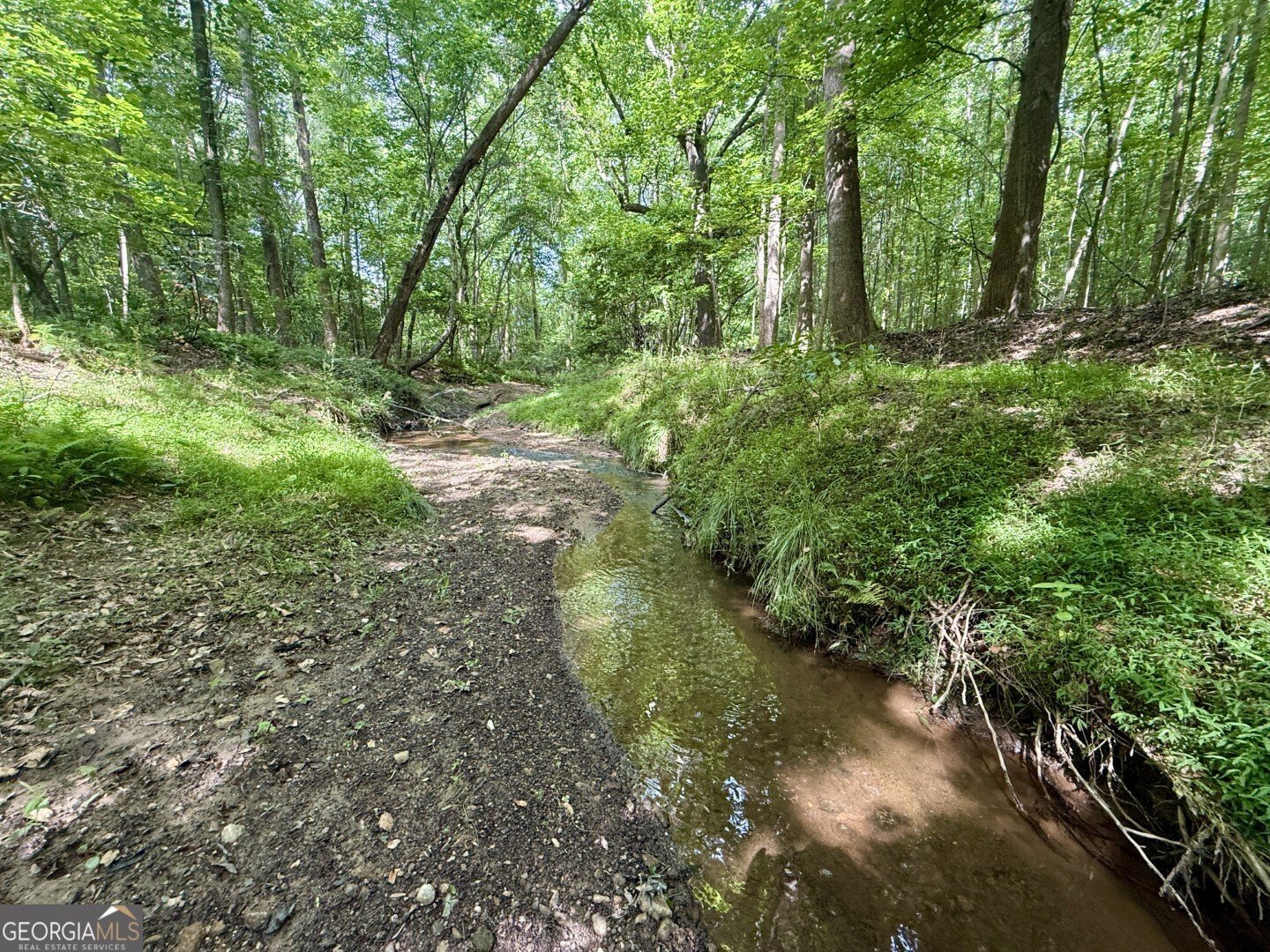 1298 Ray Weaver Road Canon - Photo 39