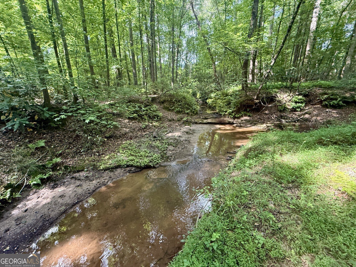 1298 Ray Weaver Road Canon - Photo 40