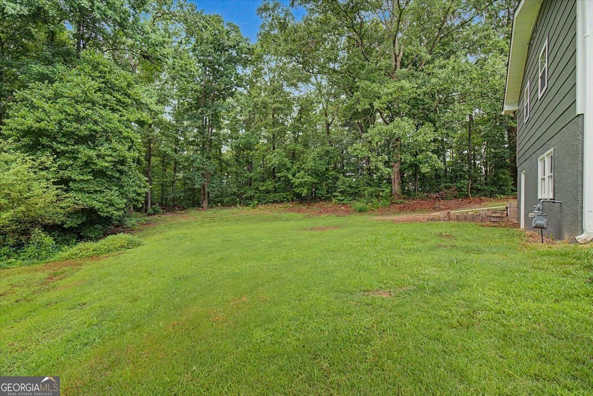 6380 Valhalla Drive Douglasville - Photo 44