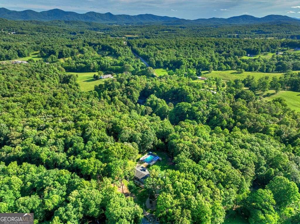999 Paul Nicholson Road Blairsville - Photo 36