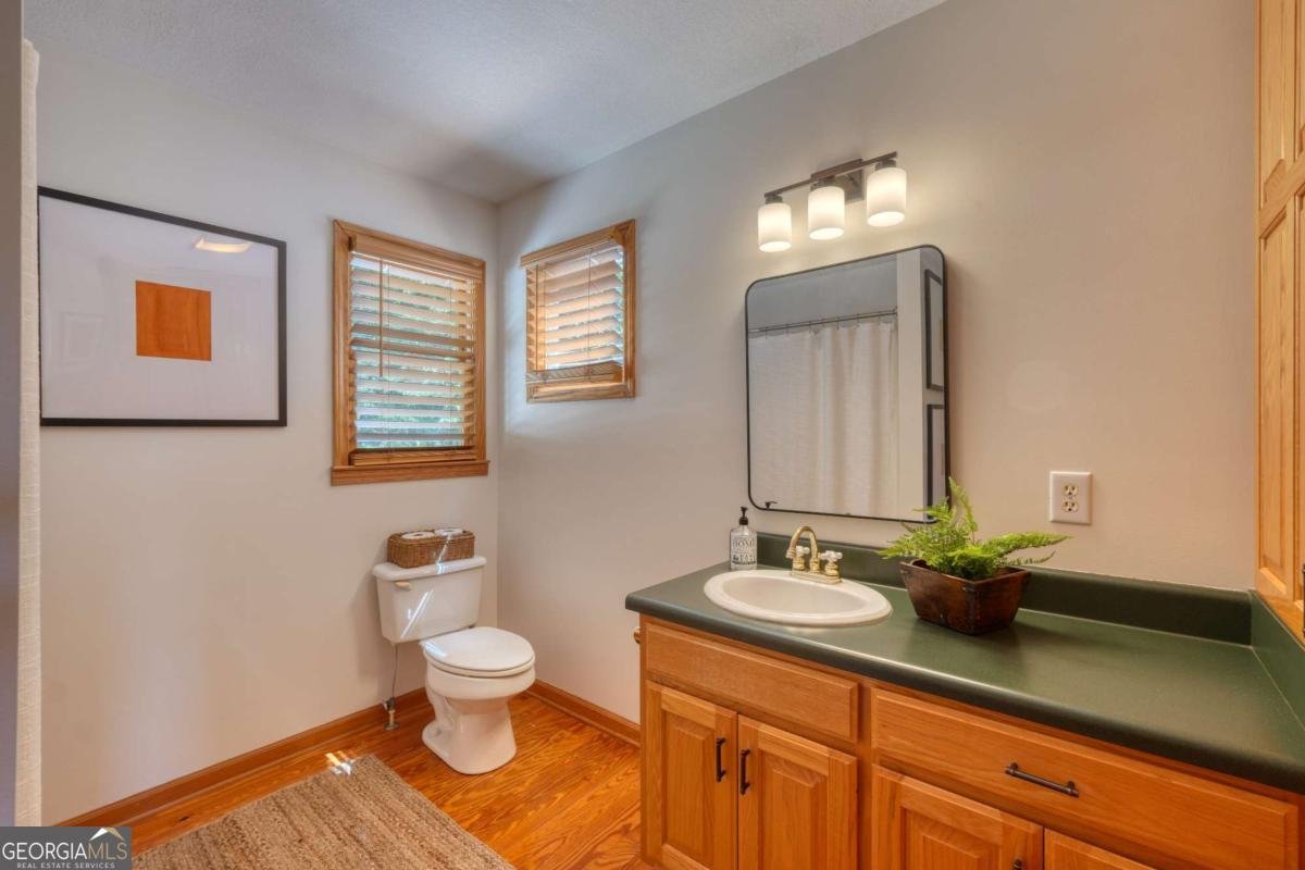 237 Flat Rock Ridge Road Blairsville - Photo 38