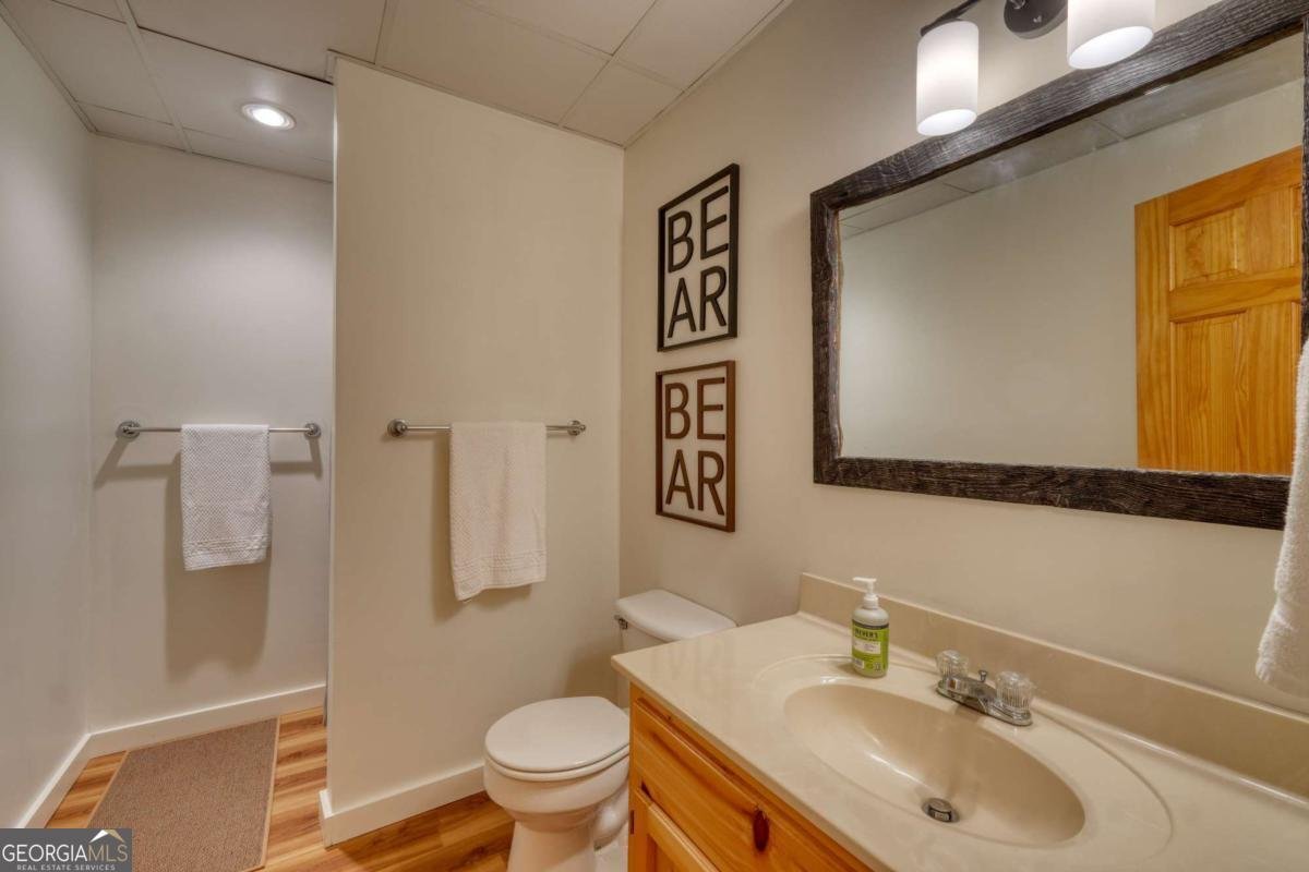 237 Flat Rock Ridge Road Blairsville - Photo 42