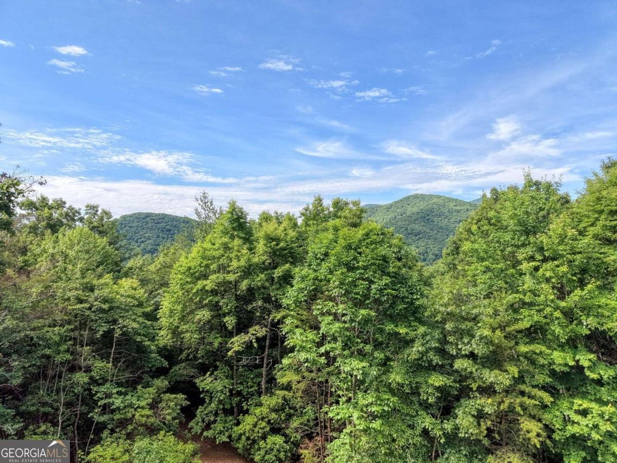 237 Flat Rock Ridge Road Blairsville - Photo 8